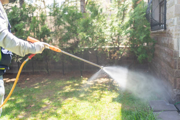 Best Seasonal Pest Control  in Anson, TX